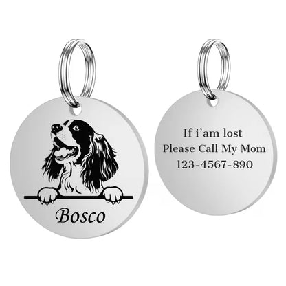 Custom Pet Name Puppy Anti-lost Collars Personalized Cute Engraving Stainless Steel Tag Dog Cat Name Tag Pets Dog Accessories